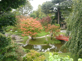Jardin japonais 1