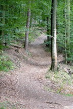 DSC05576