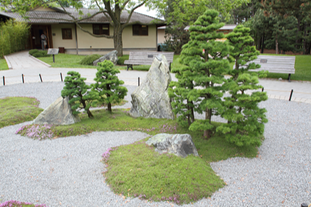 Jardin japonais 2