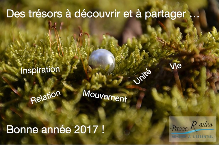 Voeux Passerailes 2017