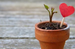 Une façon consciente de se tenir dans la vie